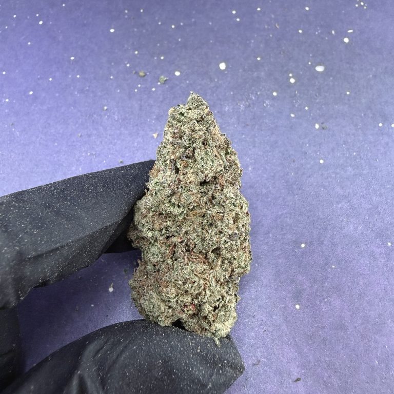 B10 Banana Pie