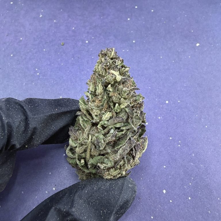 B08 Cloud KUS