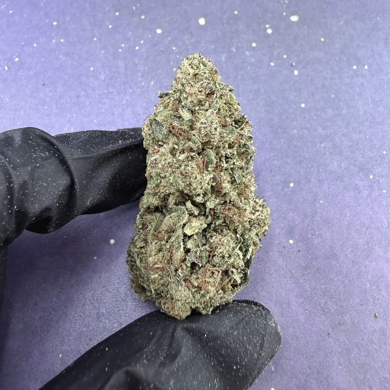B05 Lemon Cherry Bx1
