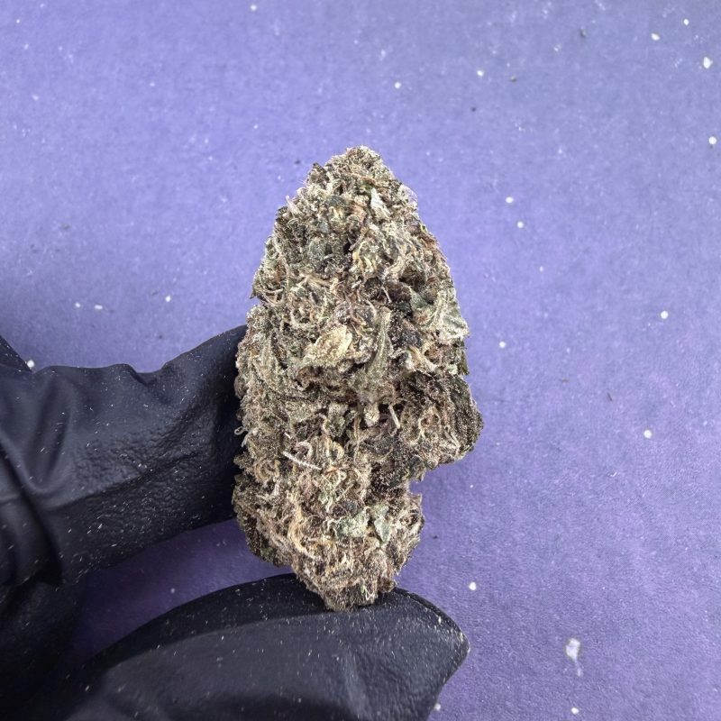 B06 Moon Kushh