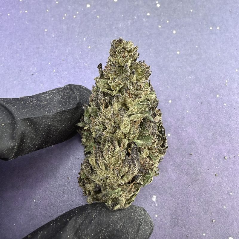 B07 Sherb cream Pie