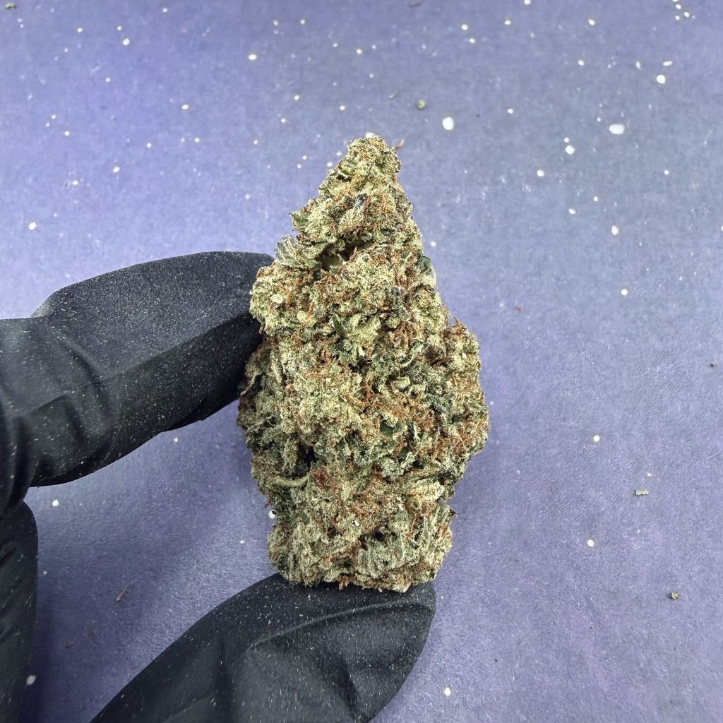 B30 Glitter Bomb