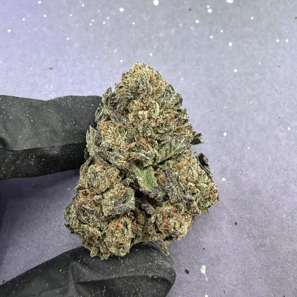 B29 Mochi