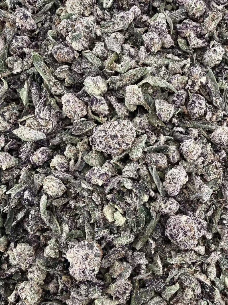 T06 Purple Cakee Shake/w Micro