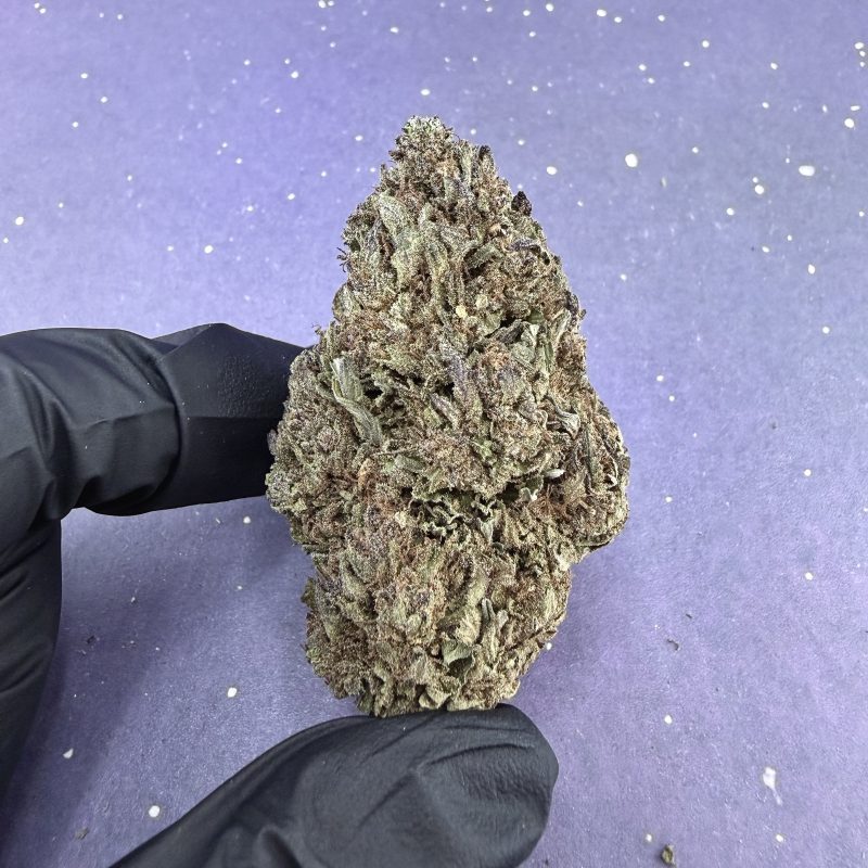 B01 Sourr Diesel